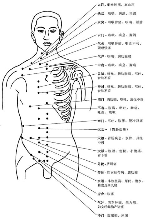 人身穴位圖|人体穴位图大全（带穴位功能主治说明）